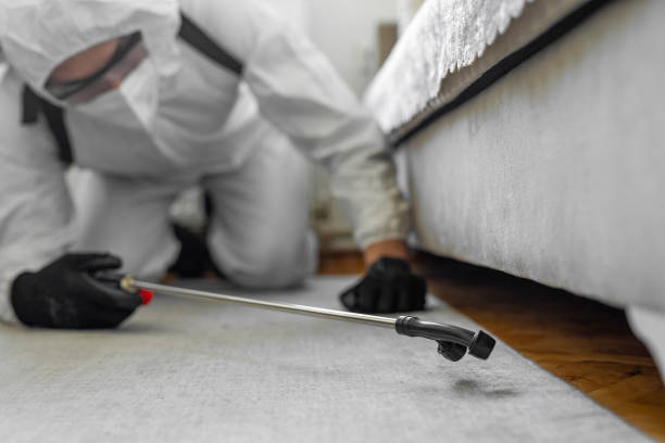 Professional Termite Control technician working in Irvine, KY