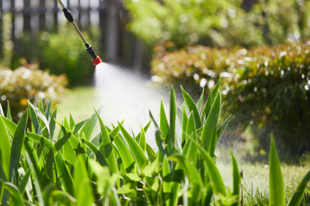 24/7 Emergency Termite Control experts in Irvine, KY