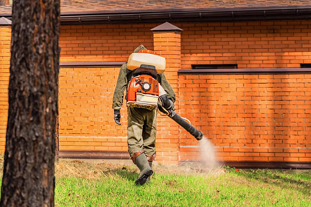 Top rated local Termite Control specialists in Irvine, KY